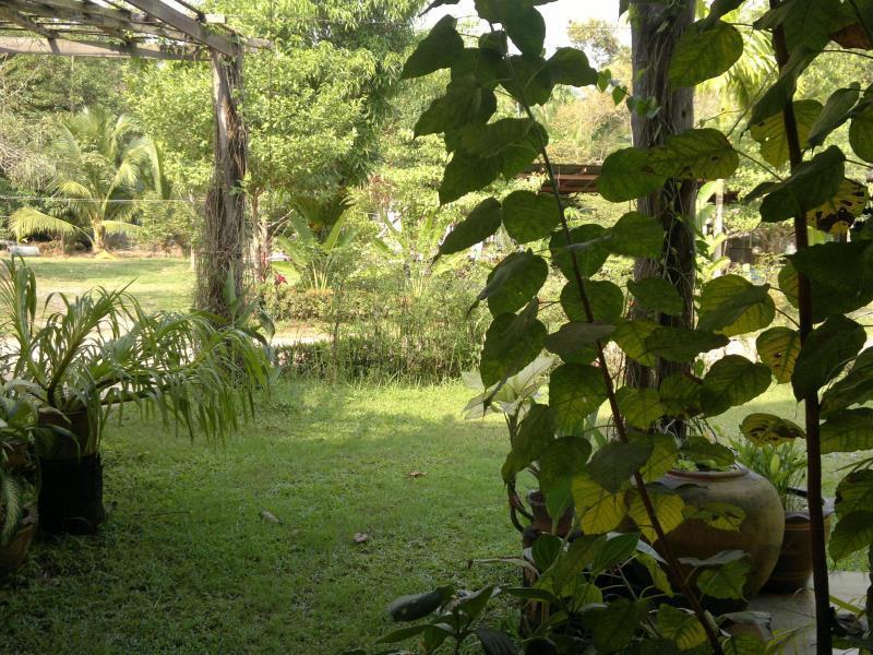 The Mangrove Hideaway Kohchang Koh Chang Exteriör bild