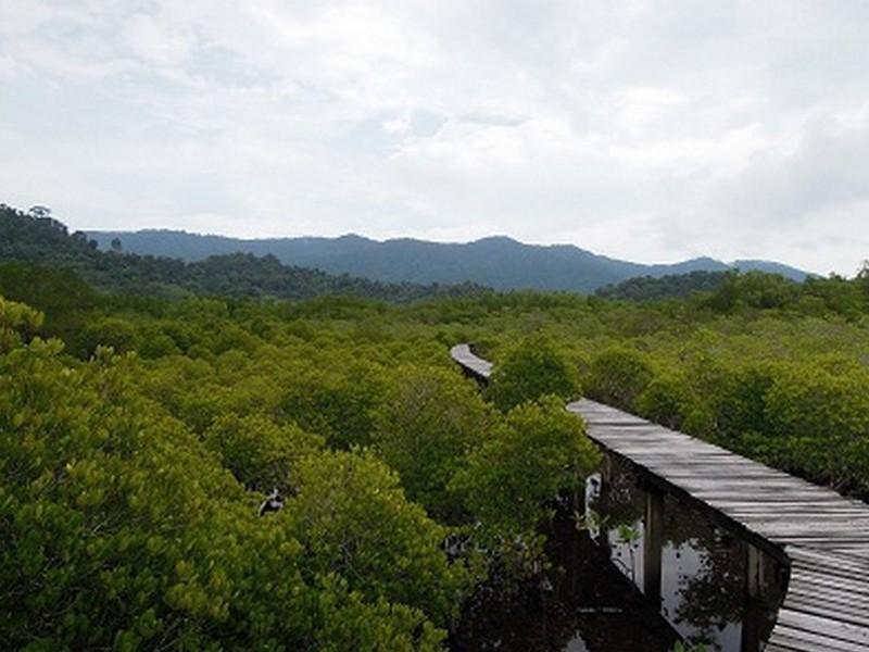 The Mangrove Hideaway Kohchang Koh Chang Exteriör bild